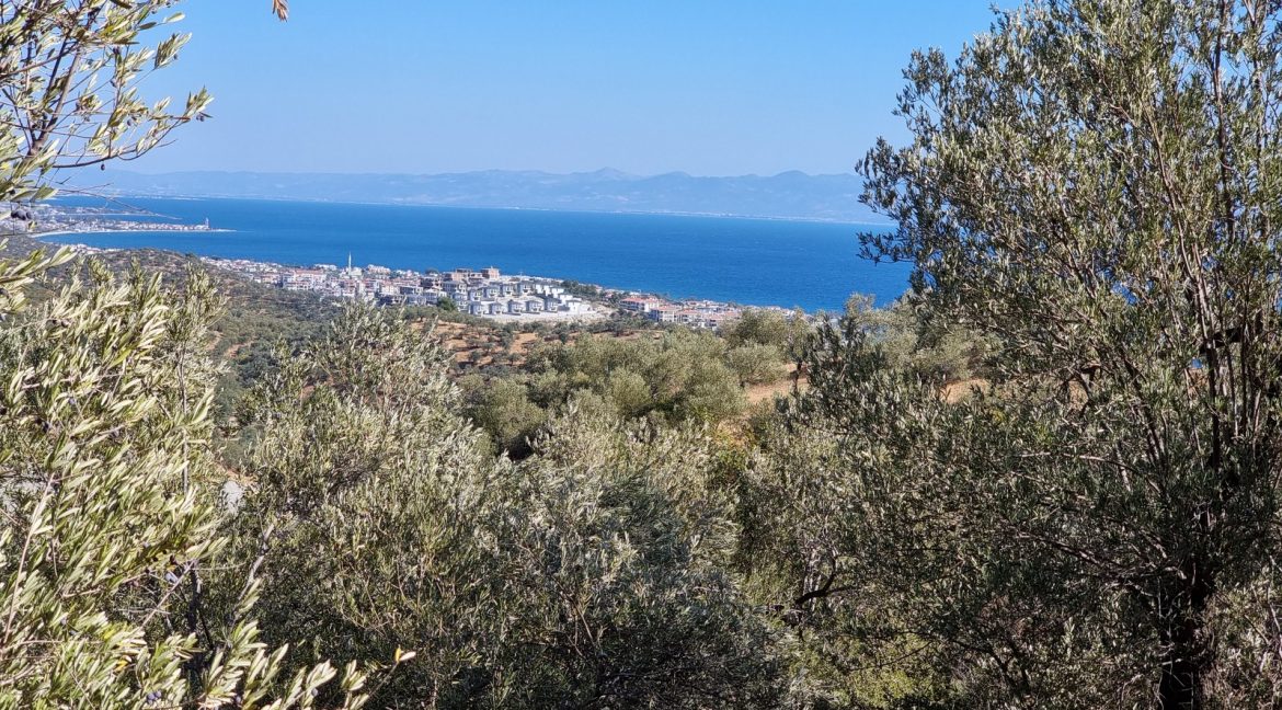 Yeşilyurt Köyü'nde Satılık Muhteşem Manzaralı Zeytinlik (5)_1600x901