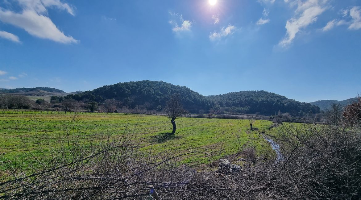 Baharlar Köyü'nde Satılık İki Adet Tarla (4)