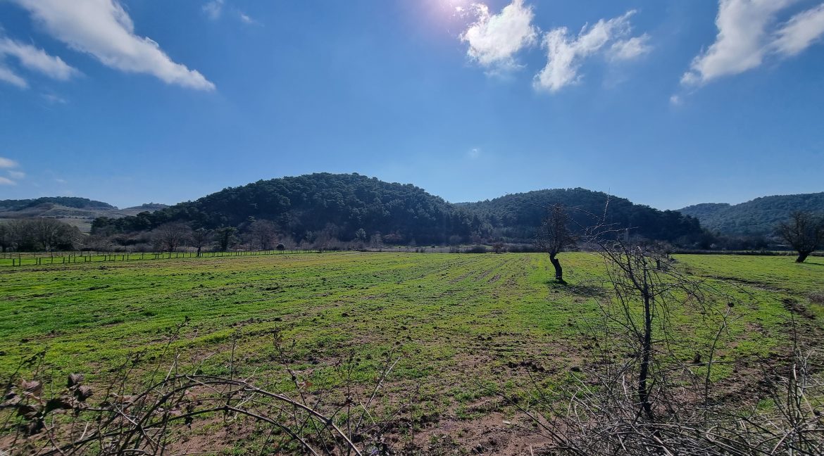 Baharlar Köyü'nde Satılık İki Adet Tarla (7)