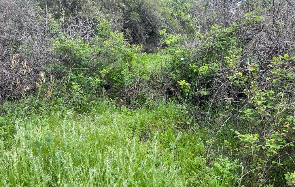 Assos Korubaşı Köyü'nde Satılık Yatırımlık Hobi Bahçesi (1)