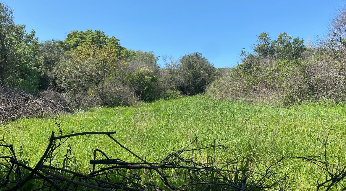 Assos Korubaşı Köyü'nde Satılık Yatırımlık Hobi Bahçesi (10)