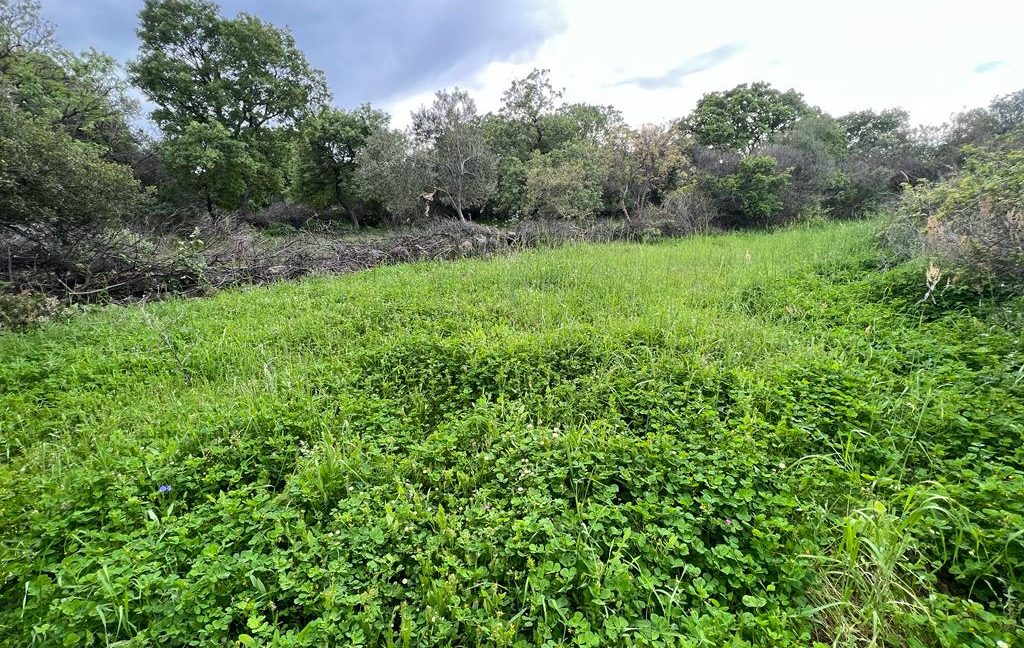 Assos Korubaşı Köyü'nde Satılık Yatırımlık Hobi Bahçesi (2)