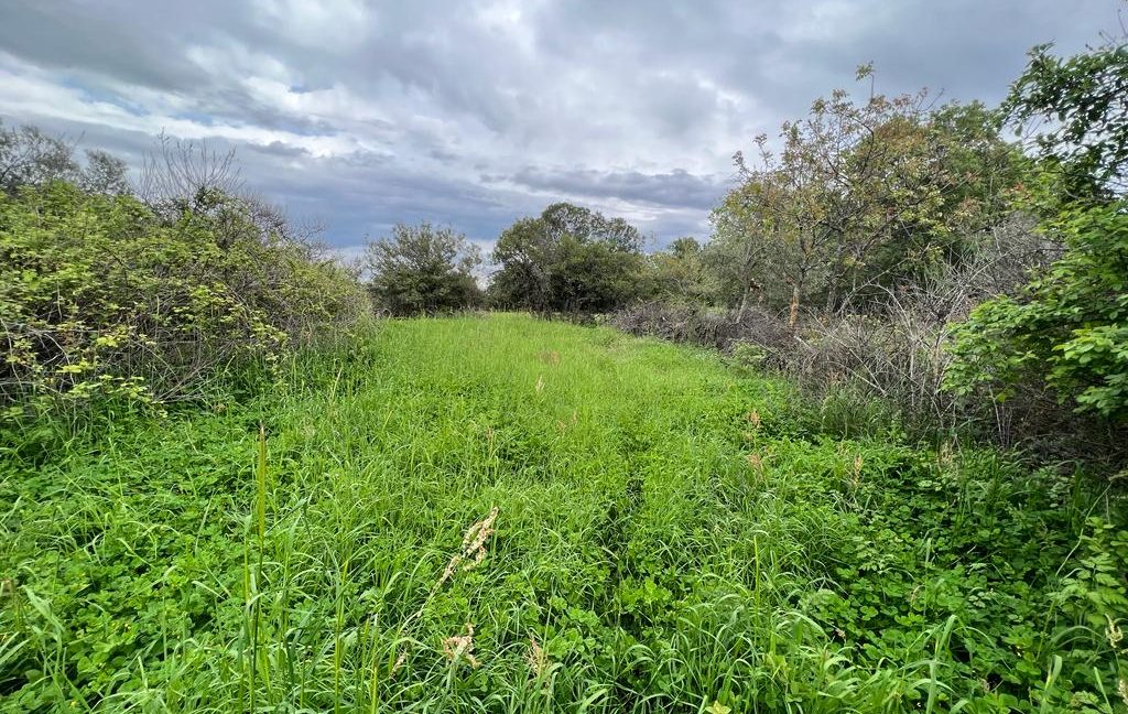 Assos Korubaşı Köyü'nde Satılık Yatırımlık Hobi Bahçesi (3)
