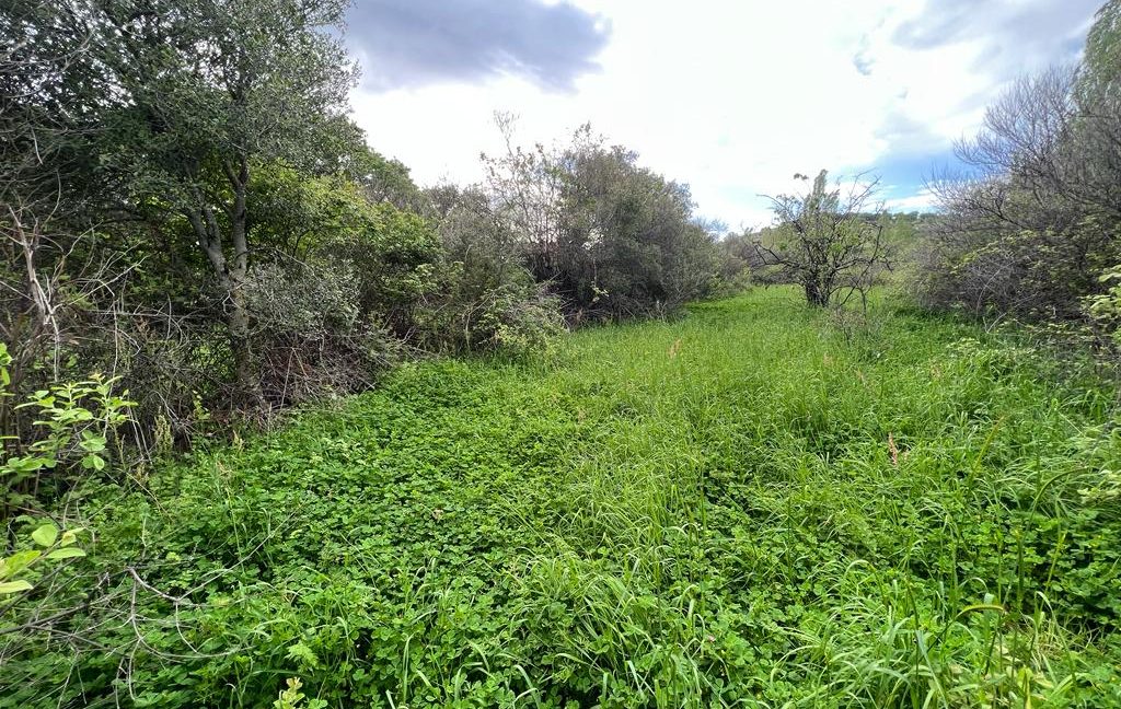 Assos Korubaşı Köyü'nde Satılık Yatırımlık Hobi Bahçesi (4)