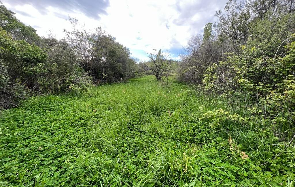 Assos Korubaşı Köyü'nde Satılık Yatırımlık Hobi Bahçesi (5)