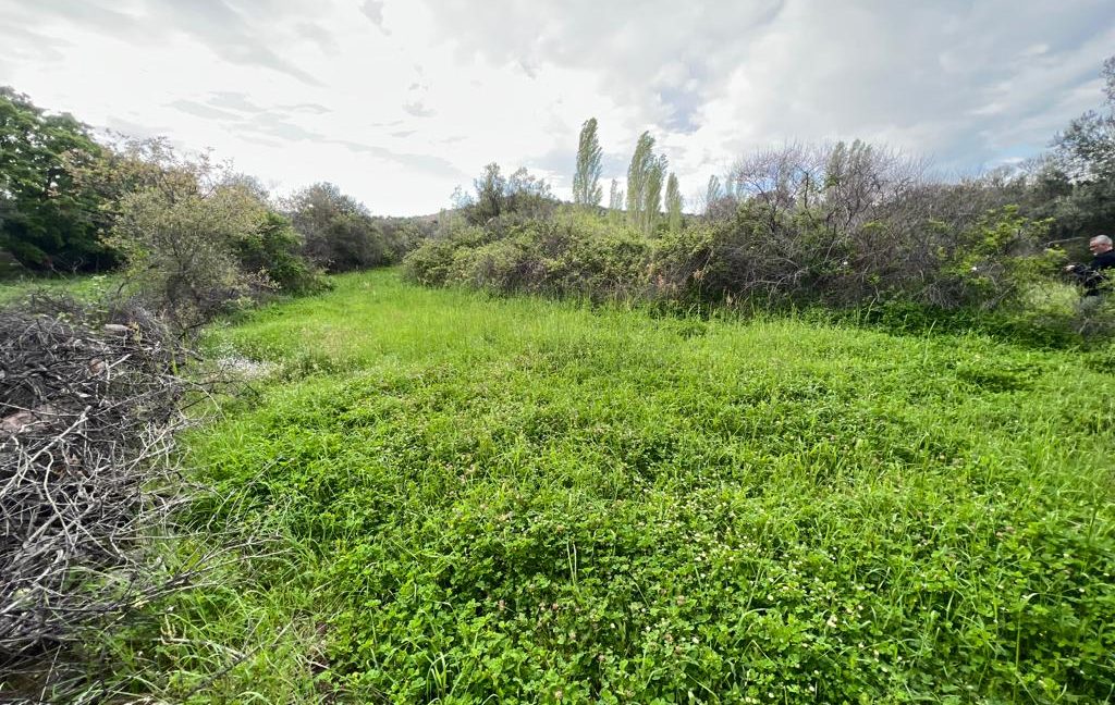 Assos Korubaşı Köyü'nde Satılık Yatırımlık Hobi Bahçesi (6)