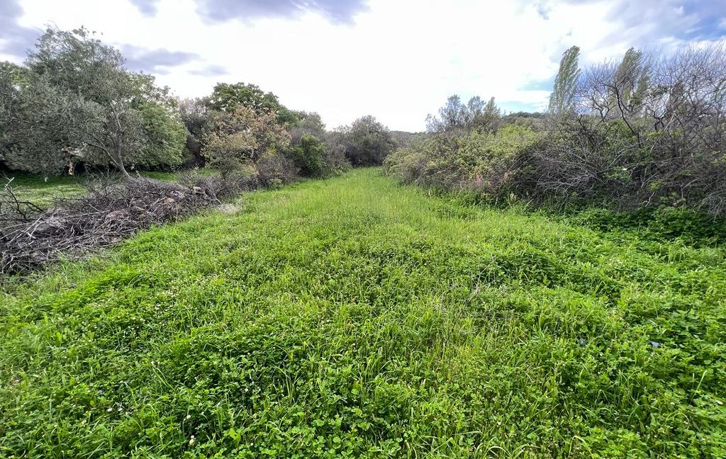 Assos Korubaşı Köyü'nde Satılık Yatırımlık Hobi Bahçesi (7)