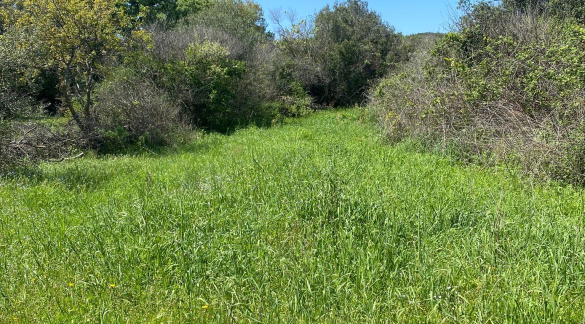 Assos Korubaşı Köyü'nde Satılık Yatırımlık Hobi Bahçesi (8)