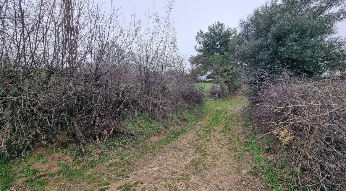 Güzelköy'de Satılık 5 Dönüm Tarla (1)