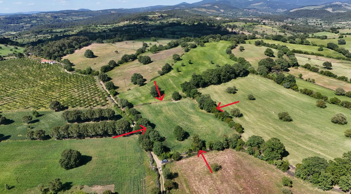 Güzelköy'de Satılık 5 Dönüm Tarla