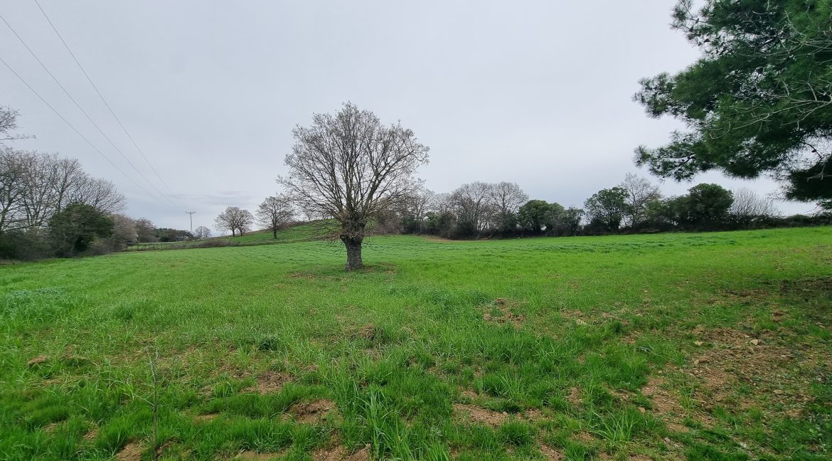 Güzelköy'de Satılık 5 Dönüm Tarla (2)