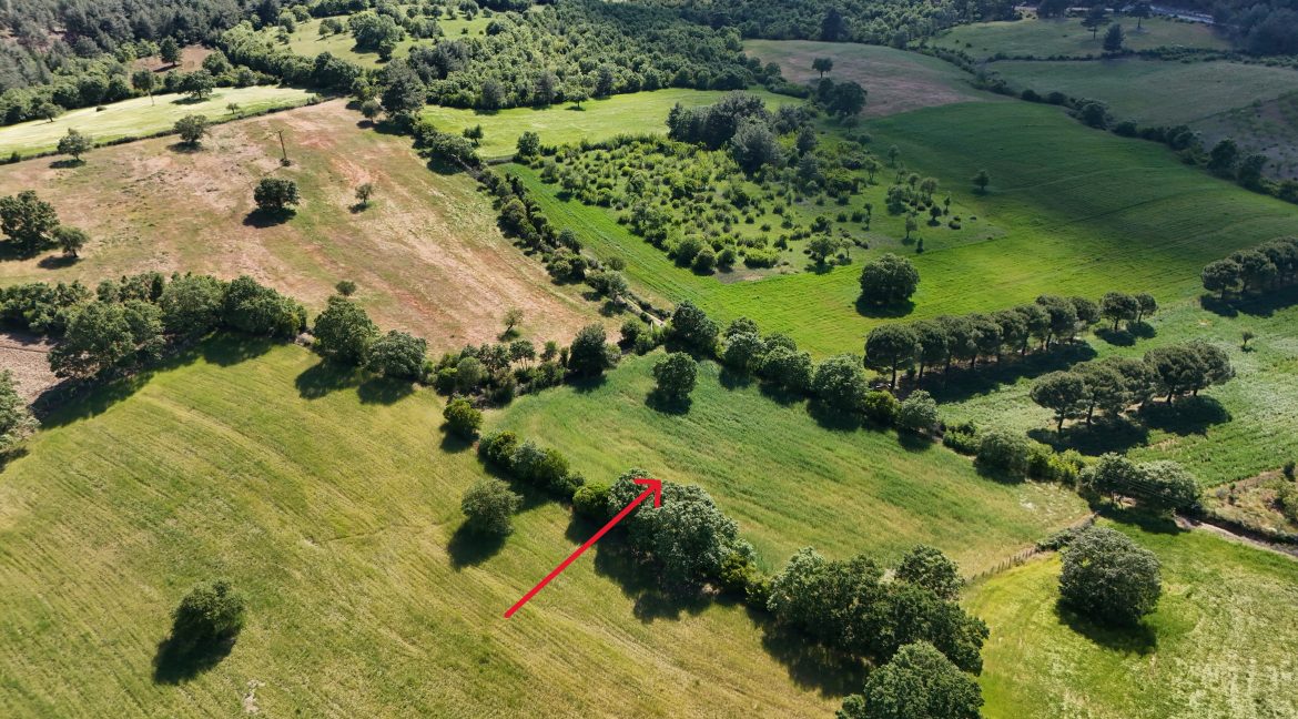 Güzelköy'de Satılık 5 Dönüm Tarla