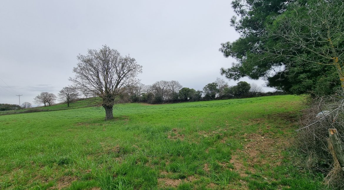 Güzelköy'de Satılık 5 Dönüm Tarla (3)