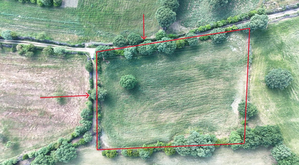 Güzelköy'de Satılık 5 Dönüm Tarla