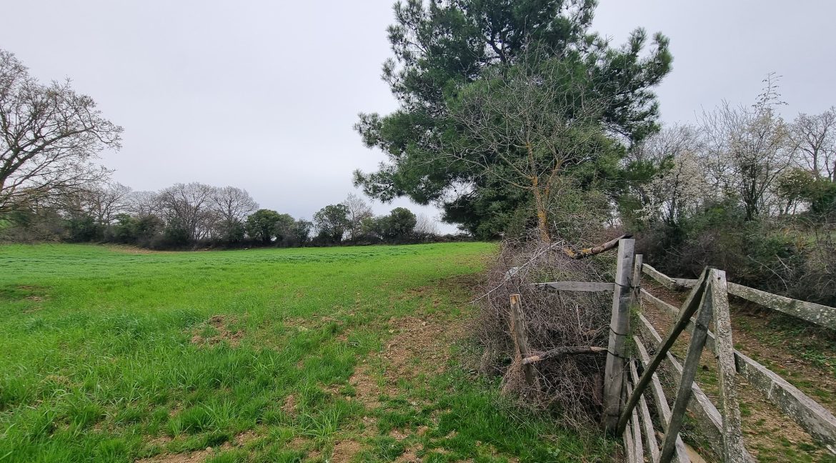 Güzelköy'de Satılık 5 Dönüm Tarla (4)