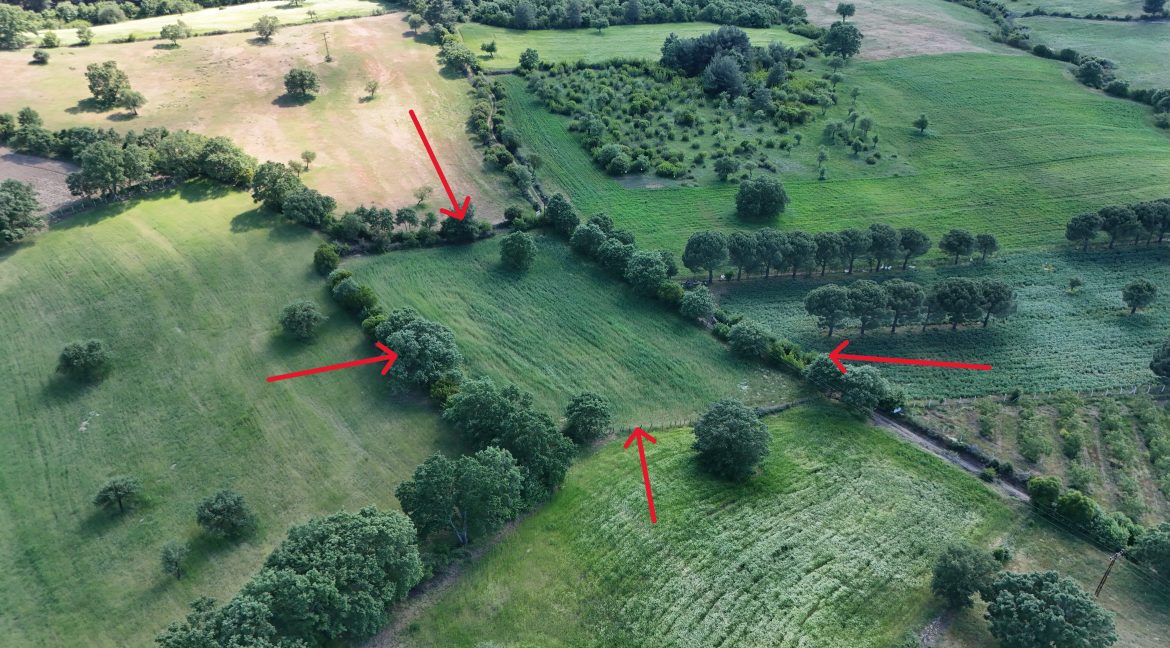 Güzelköy'de Satılık 5 Dönüm Tarla