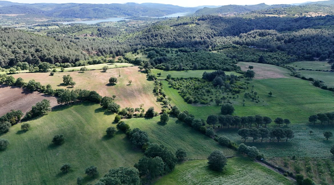 Güzelköy'de Satılık 5 Dönüm Tarla