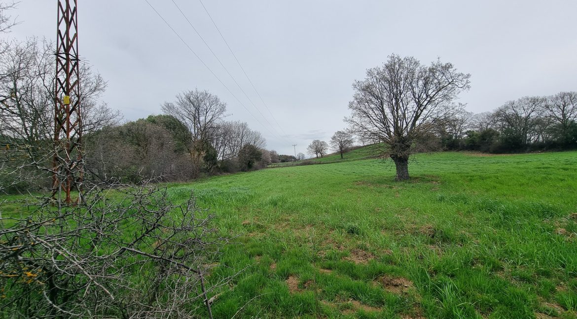 Güzelköy'de Satılık 5 Dönüm Tarla (5)