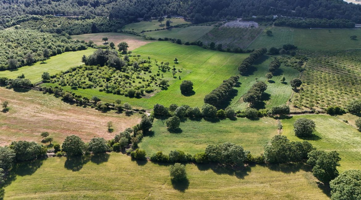 Güzelköy'de Satılık 5 Dönüm Tarla