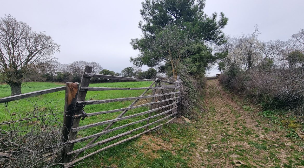 Güzelköy'de Satılık 5 Dönüm Tarla (6)