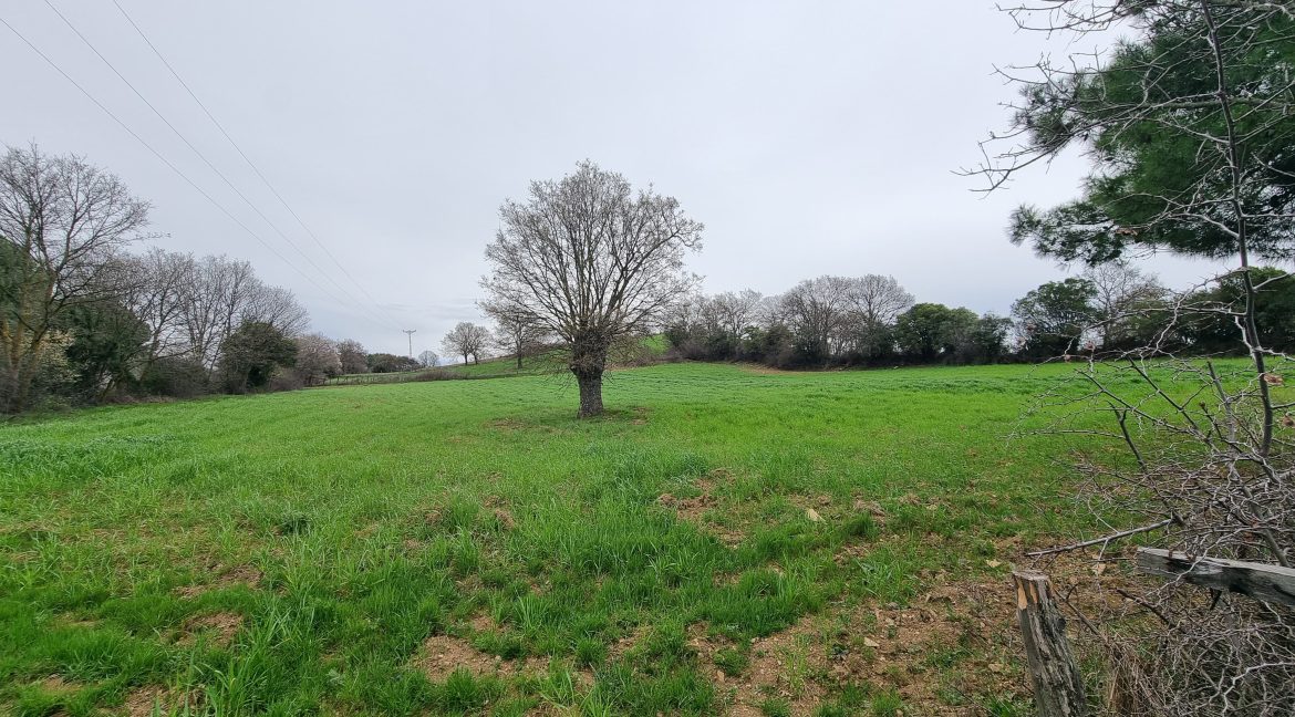 Güzelköy'de Satılık 5 Dönüm Tarla (7)