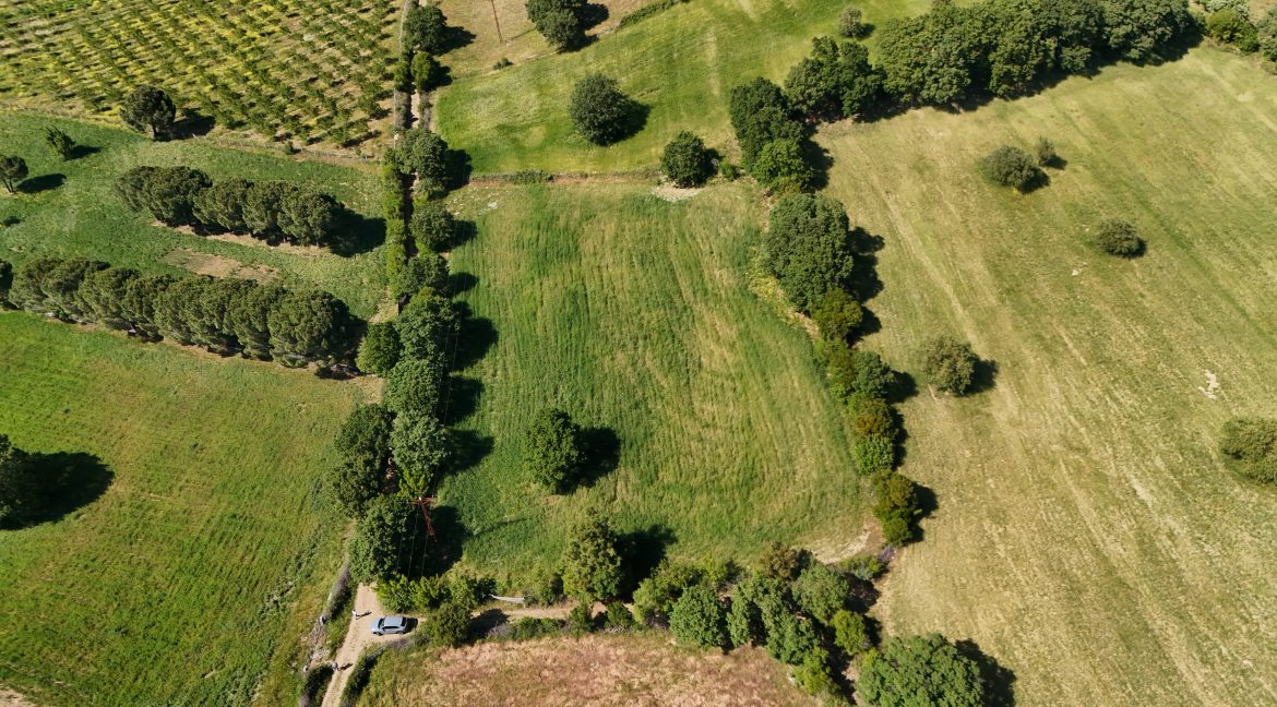 Güzelköy'de Satılık 5 Dönüm Tarla