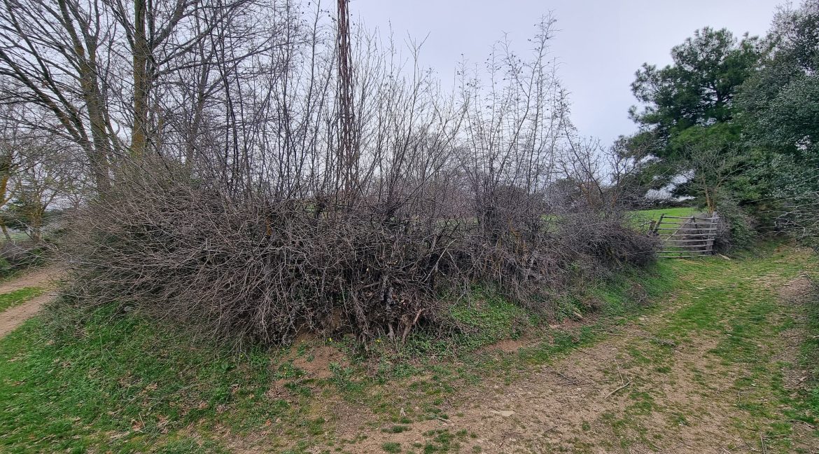 Güzelköy'de Satılık 5 Dönüm Tarla (9)