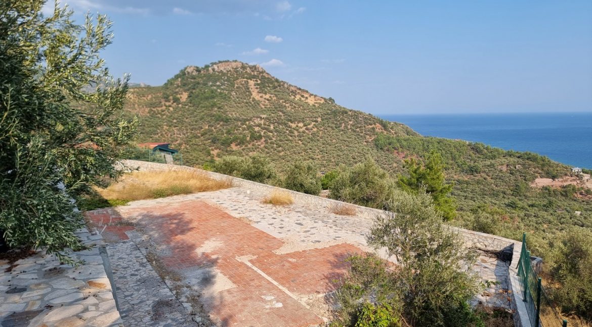 Sazlı Köyü'nde Satılık Elektriği, Suyu ve Taş Duvarları Olan Zeytinlik (1)