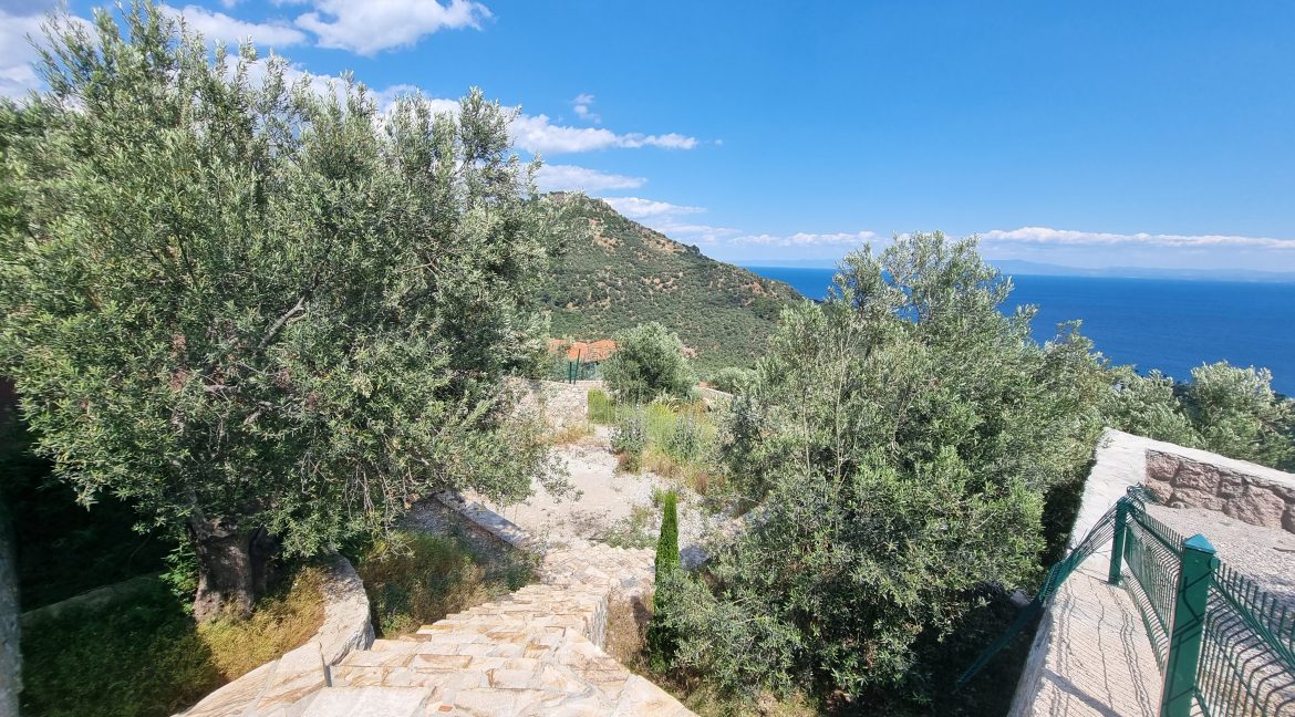 Sazlı Köyü'nde Satılık Elektriği, Suyu ve Taş Duvarları Olan Zeytinlik (45)