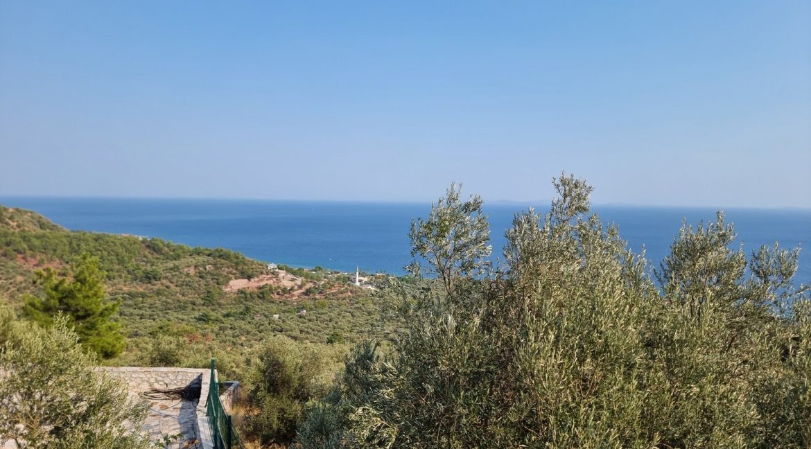 Sazlı Köyü'nde Satılık Elektriği, Suyu ve Taş Duvarları Olan Zeytinlik (46)