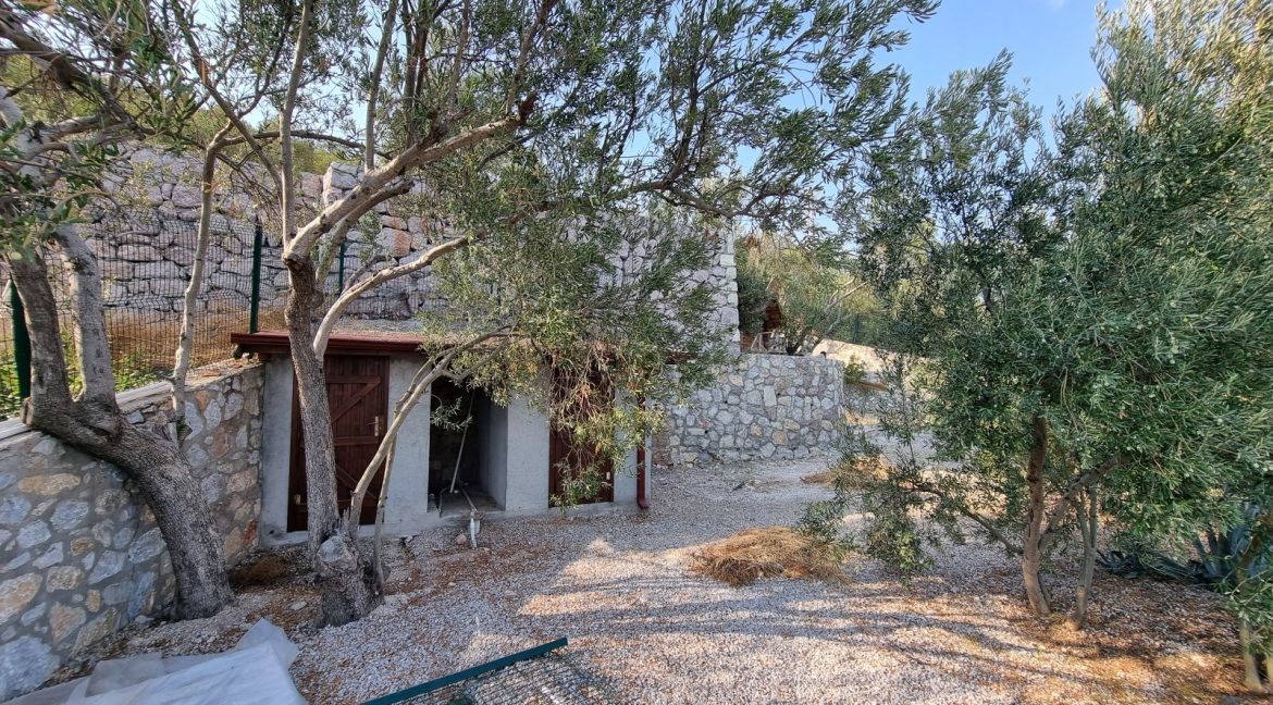 Sazlı Köyü'nde Satılık Elektriği, Suyu ve Taş Duvarları Olan Zeytinlik (47)