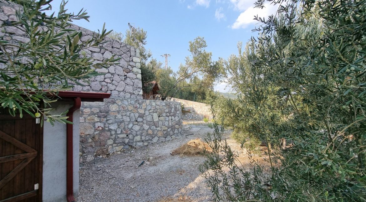 Sazlı Köyü'nde Satılık Elektriği, Suyu ve Taş Duvarları Olan Zeytinlik (48)