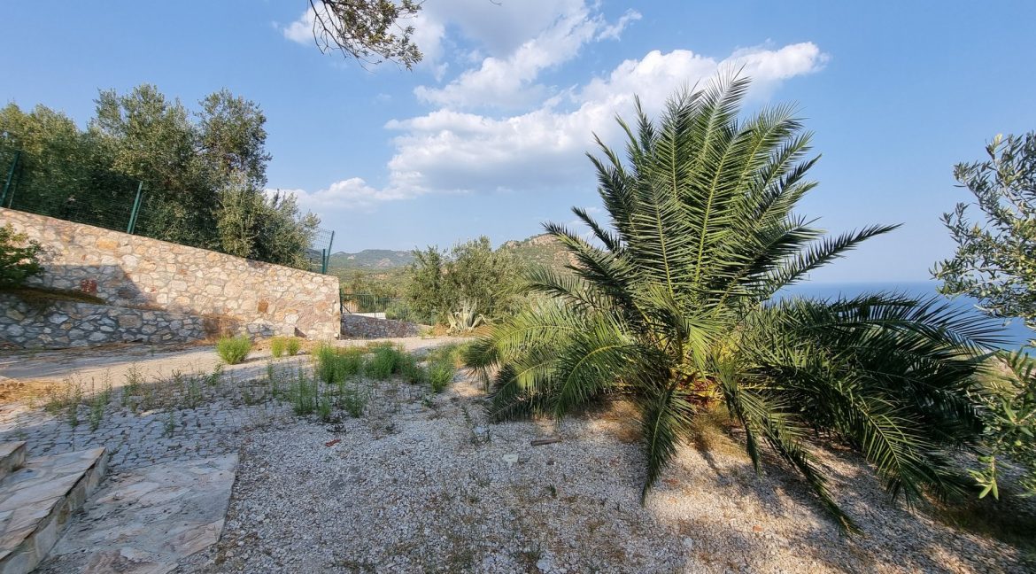 Sazlı Köyü'nde Satılık Elektriği, Suyu ve Taş Duvarları Olan Zeytinlik (49)