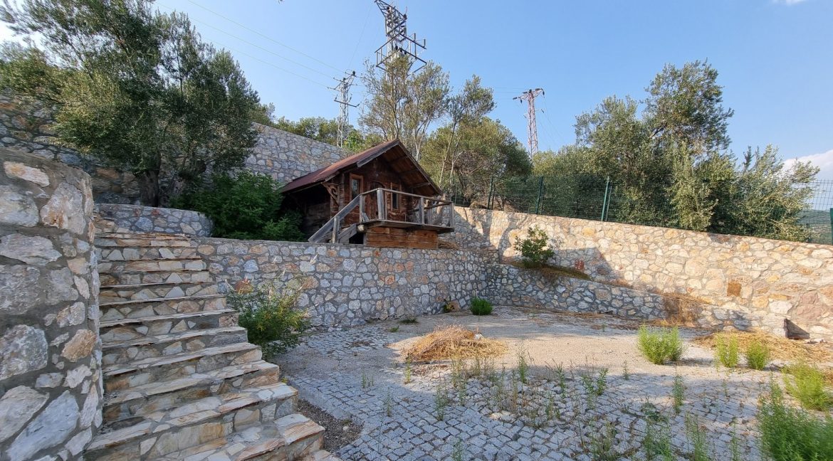 Sazlı Köyü'nde Satılık Elektriği, Suyu ve Taş Duvarları Olan Zeytinlik (50)