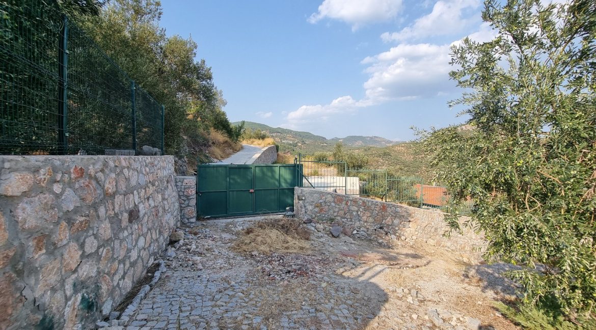 Sazlı Köyü'nde Satılık Elektriği, Suyu ve Taş Duvarları Olan Zeytinlik (54)