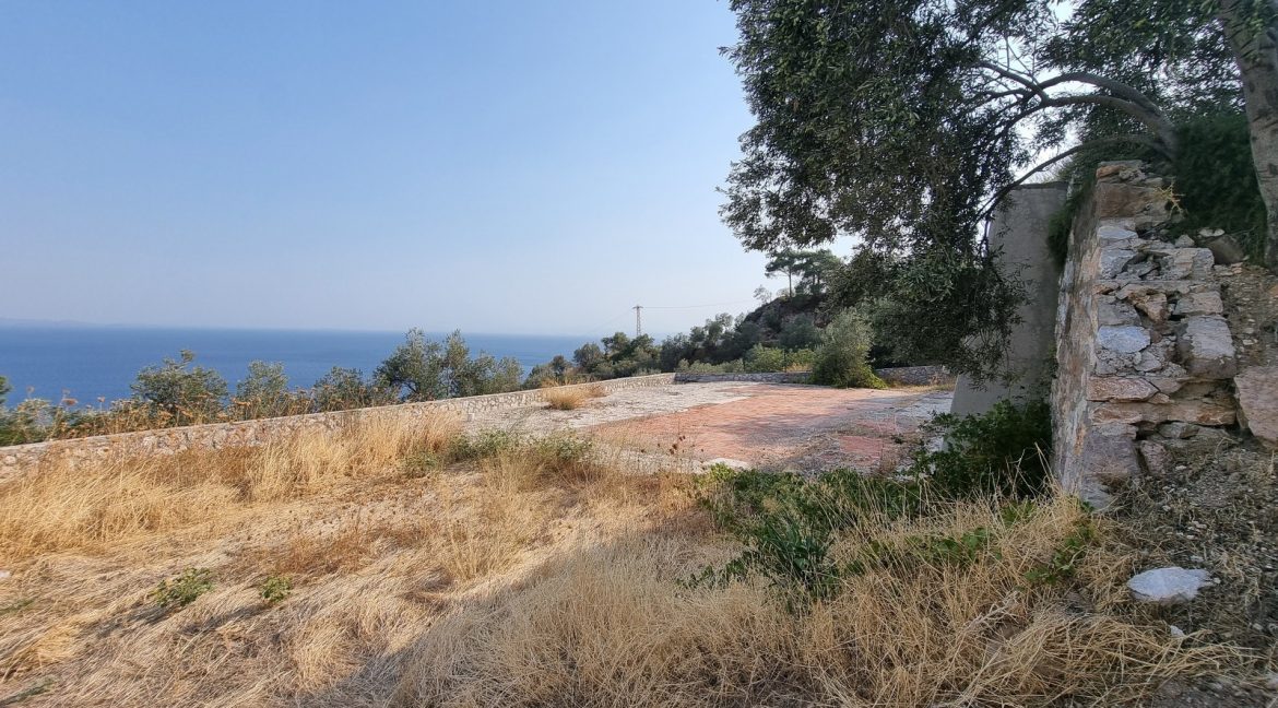 Sazlı Köyü'nde Satılık Elektriği, Suyu ve Taş Duvarları Olan Zeytinlik (55)