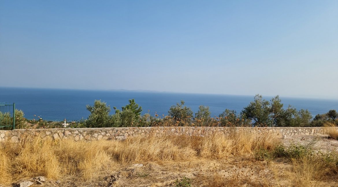 Sazlı Köyü'nde Satılık Elektriği, Suyu ve Taş Duvarları Olan Zeytinlik (56)