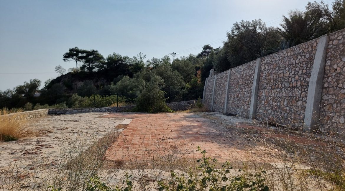 Sazlı Köyü'nde Satılık Elektriği, Suyu ve Taş Duvarları Olan Zeytinlik (58)