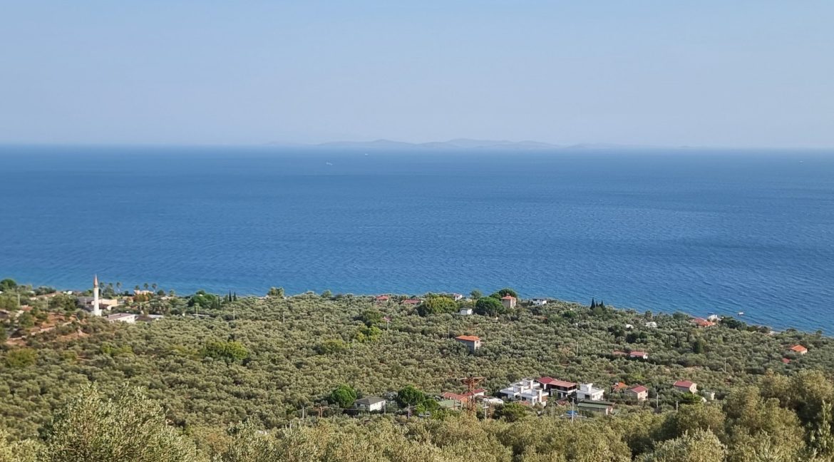 Sazlı Köyü'nde Satılık Elektriği, Suyu ve Taş Duvarları Olan Zeytinlik (62)