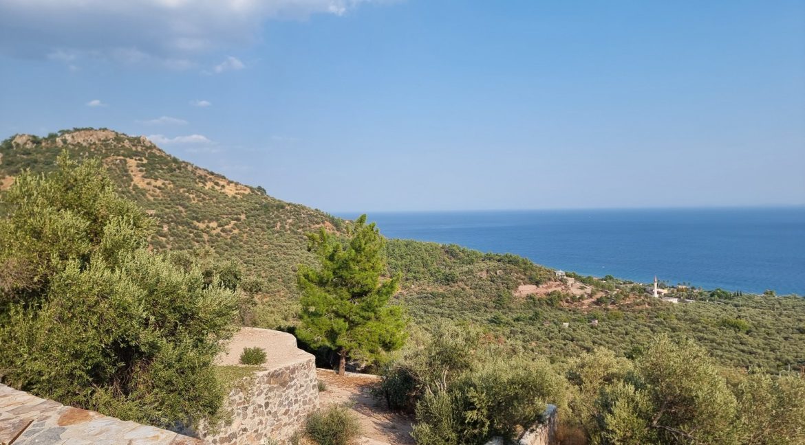 Sazlı Köyü'nde Satılık Elektriği, Suyu ve Taş Duvarları Olan Zeytinlik (63)