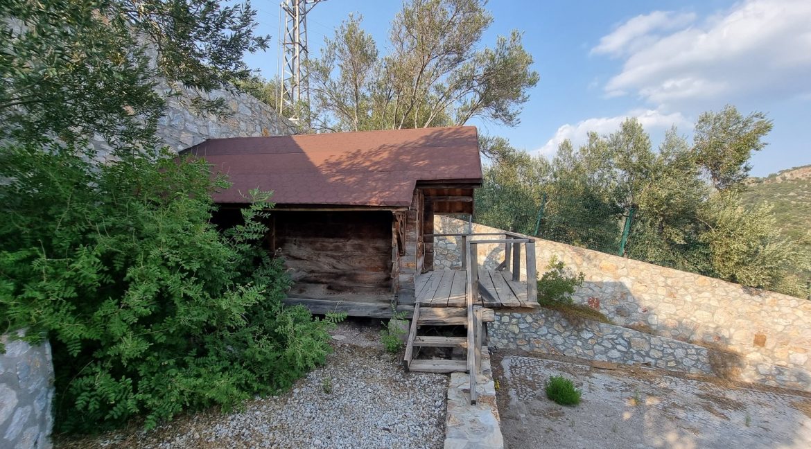 Sazlı Köyü'nde Satılık Elektriği, Suyu ve Taş Duvarları Olan Zeytinlik (68)