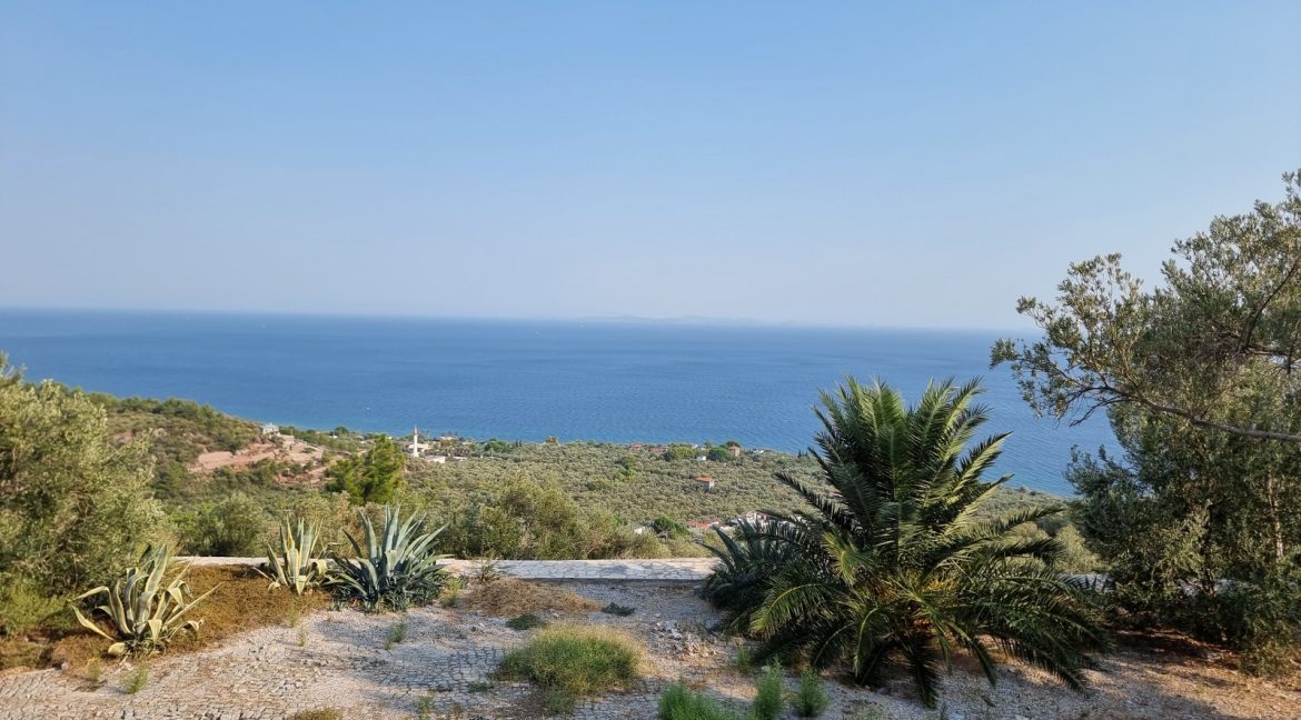 Sazlı Köyü'nde Satılık Elektriği, Suyu ve Taş Duvarları Olan Zeytinlik (69)