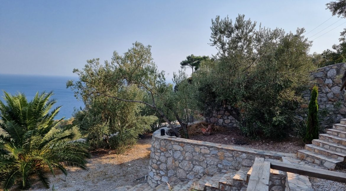 Sazlı Köyü'nde Satılık Elektriği, Suyu ve Taş Duvarları Olan Zeytinlik (70)