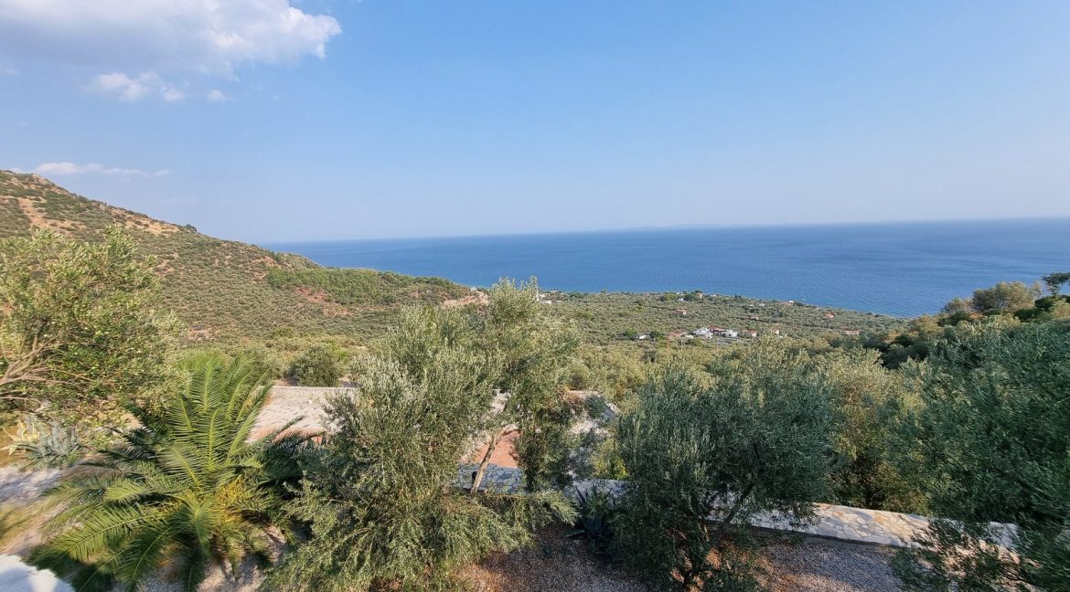 Sazlı Köyü'nde Satılık Elektriği, Suyu ve Taş Duvarları Olan Zeytinlik (71)