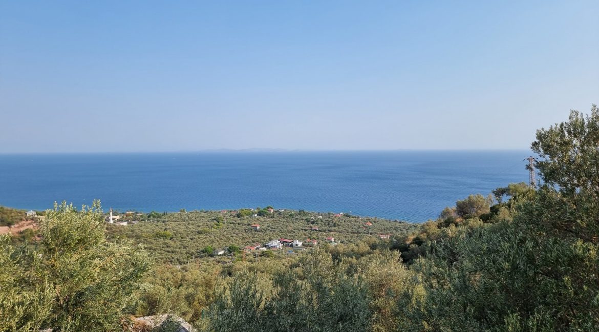 Sazlı Köyü'nde Satılık Elektriği, Suyu ve Taş Duvarları Olan Zeytinlik (72)