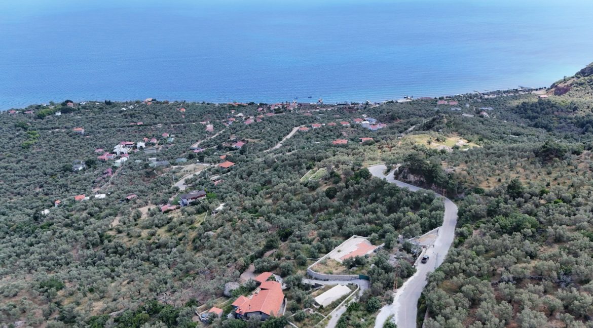 Sazlı Köyü'nde Satılık Elektriği, Suyu ve Taş Duvarları Olan Zeytinlik