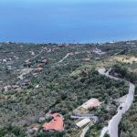 Sazlı Köyü'nde Satılık Elektriği, Suyu ve Taş Duvarları Olan Zeytinlik