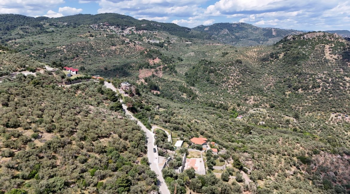 Sazlı Köyü'nde Satılık Elektriği, Suyu ve Taş Duvarları Olan Zeytinlik