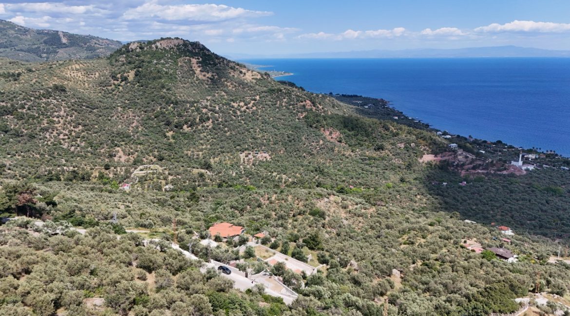 Sazlı Köyü'nde Satılık Elektriği, Suyu ve Taş Duvarları Olan Zeytinlik