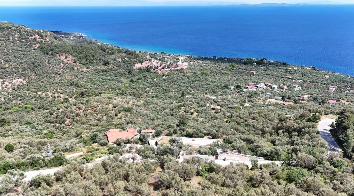 Sazlı Köyü'nde Satılık Elektriği, Suyu ve Taş Duvarları Olan Zeytinlik